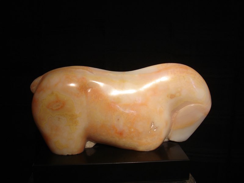 DSC02737.jpg